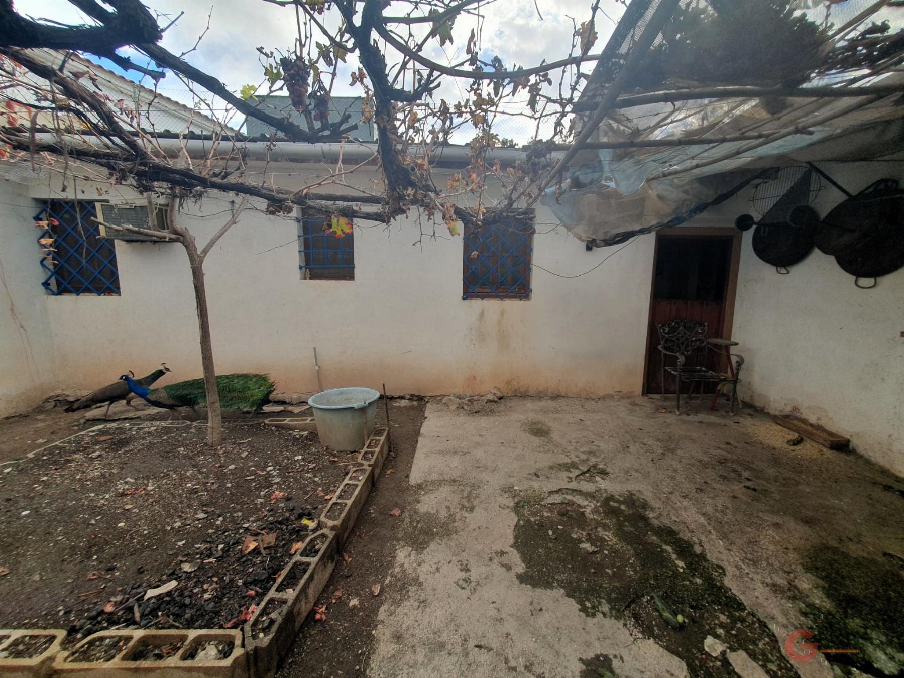For sale of rural property in Motril