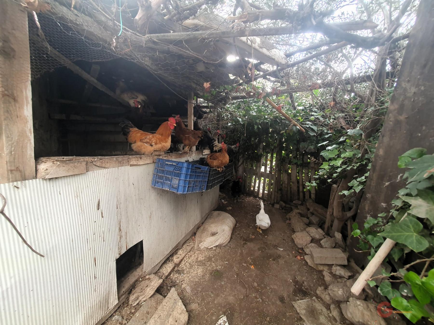 For sale of rural property in Motril