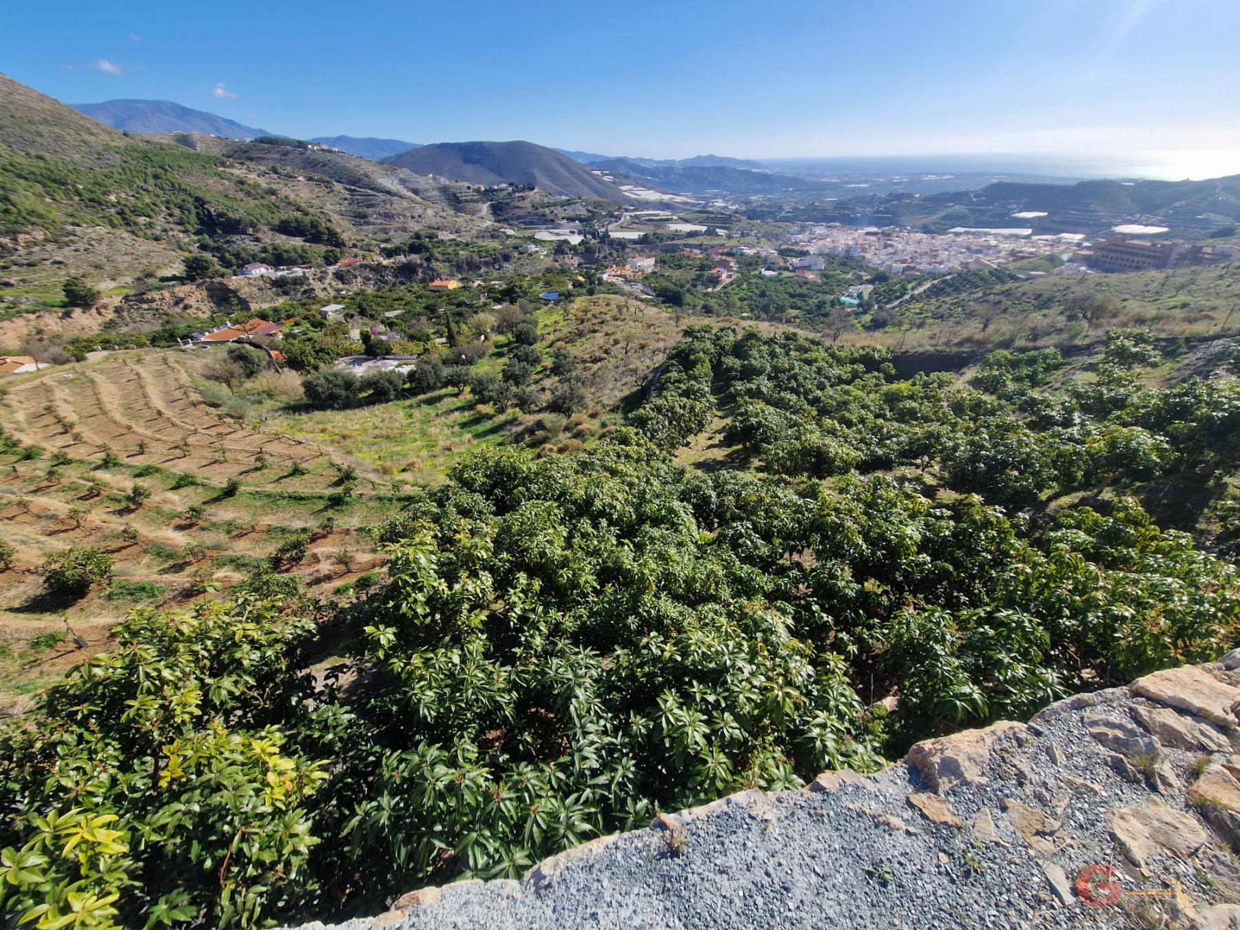 Venta de terreno en Molvízar