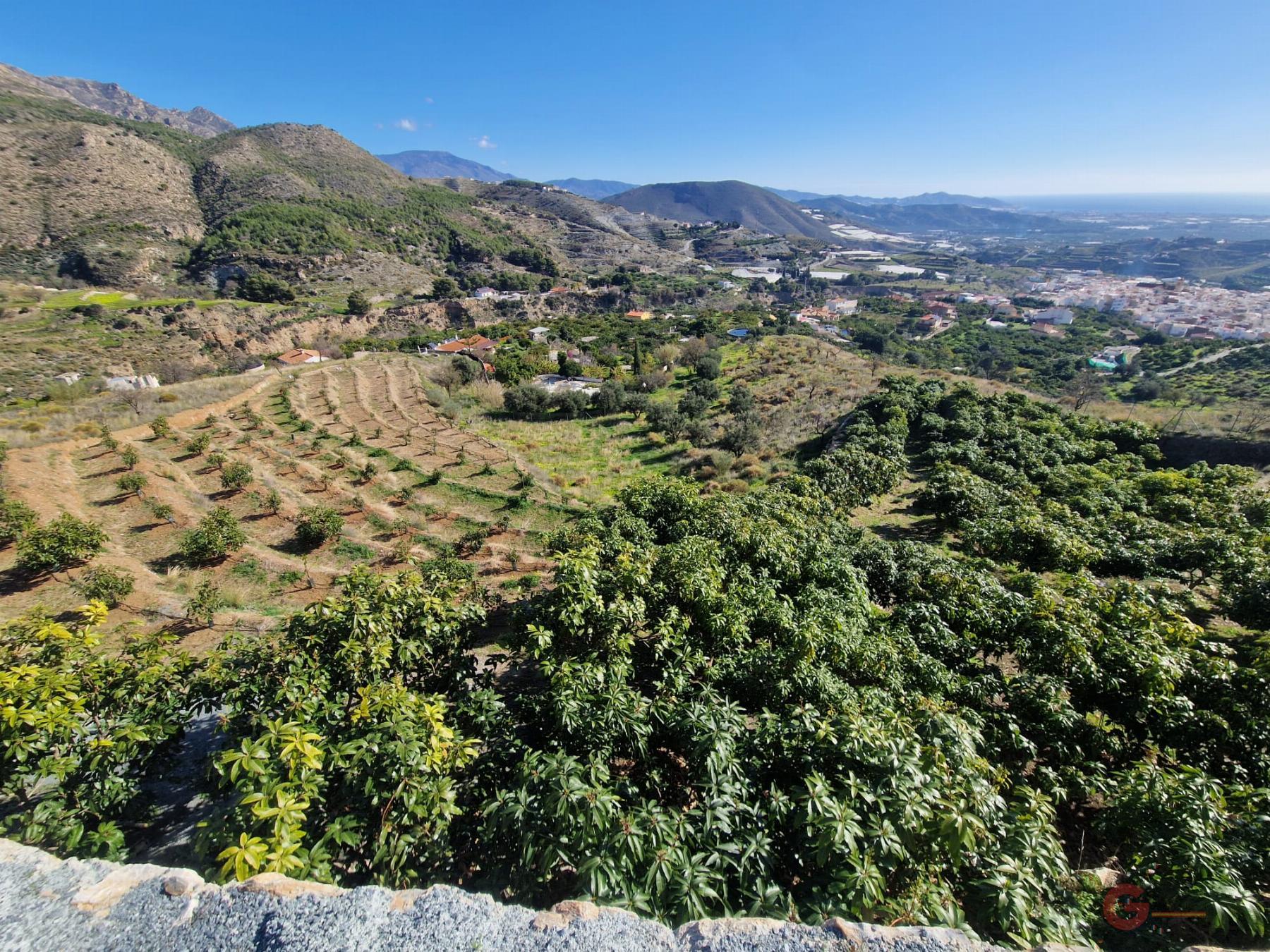 Venta de terreno en Molvízar