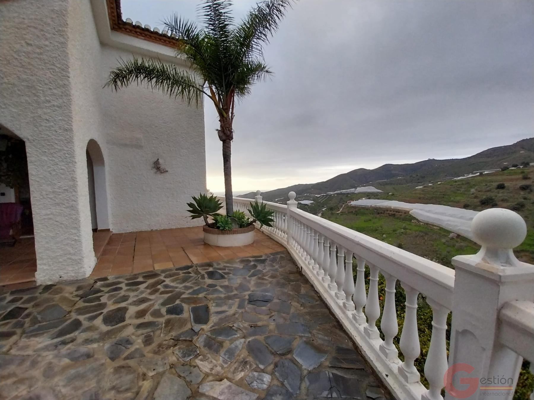 Venta de finca rústica en Itrabo Venta de finca rústica en Itrabo