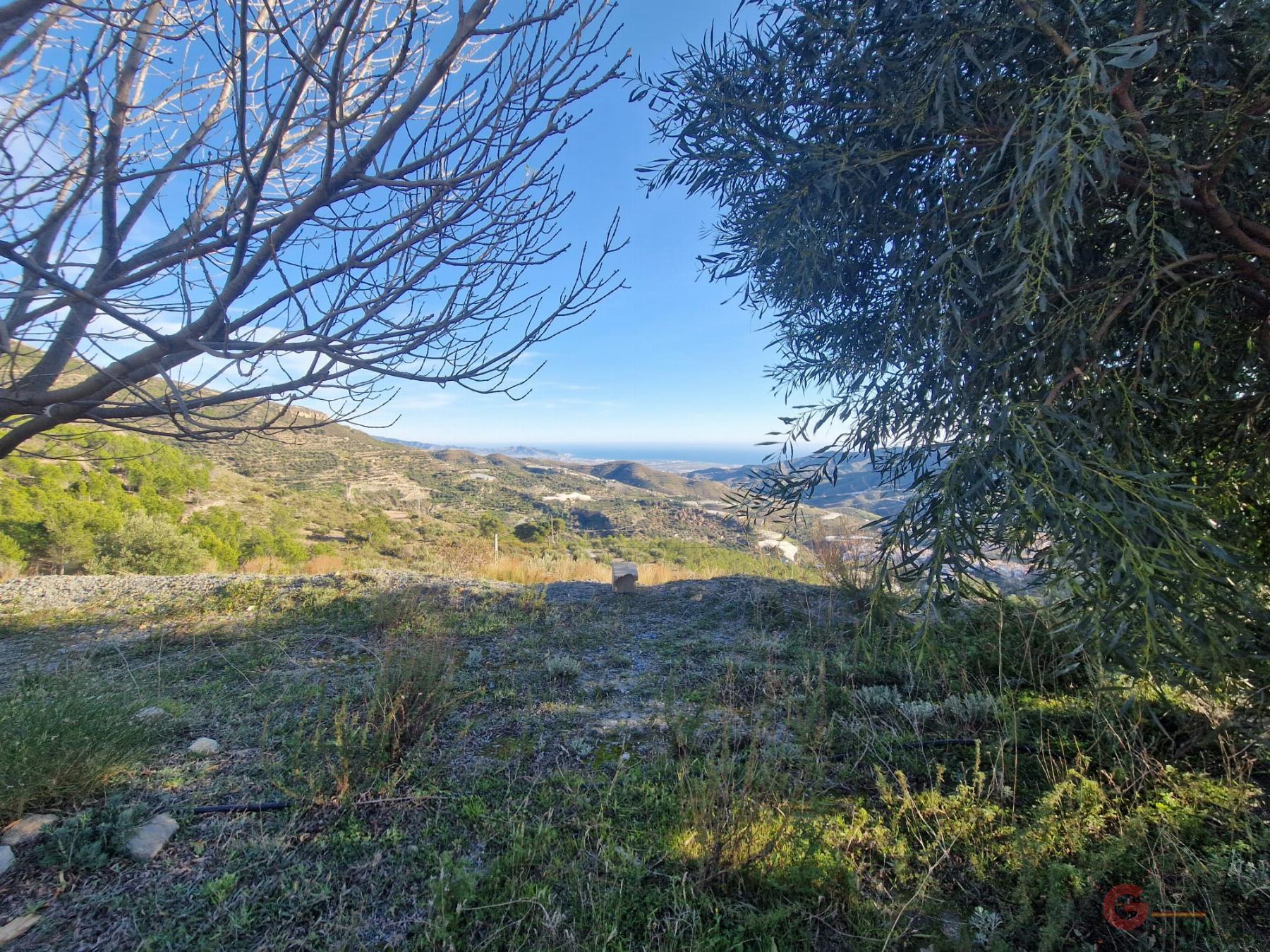 Venta de finca rústica en Itrabo
