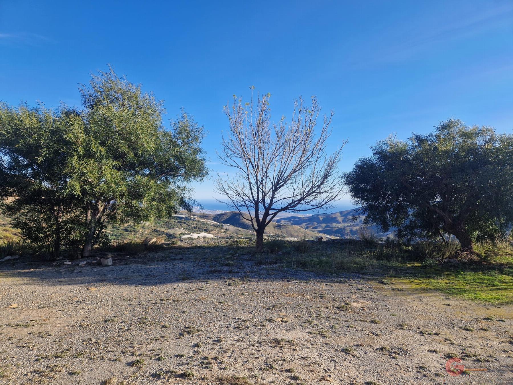 Venta de finca rústica en Itrabo