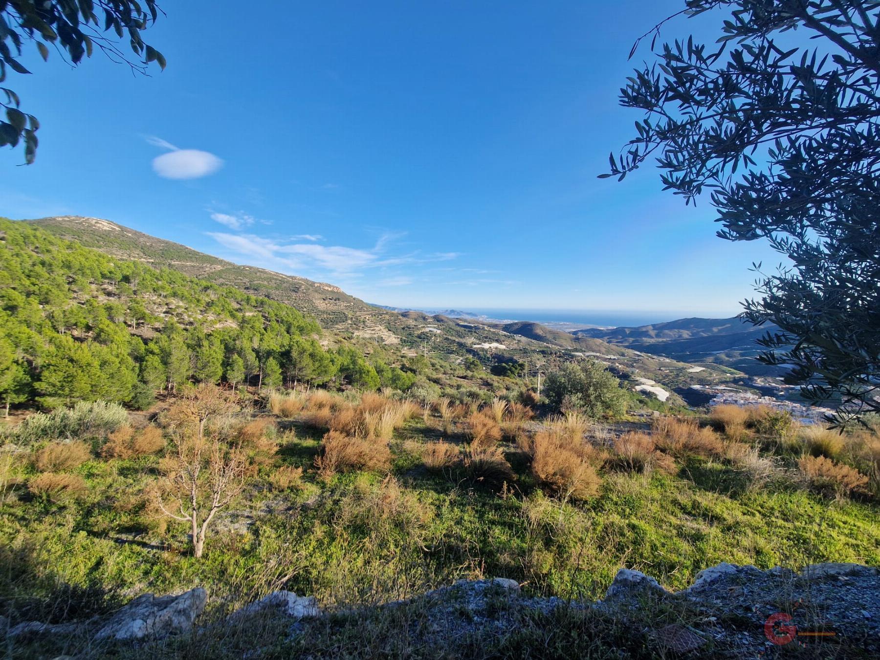 Venta de finca rústica en Itrabo