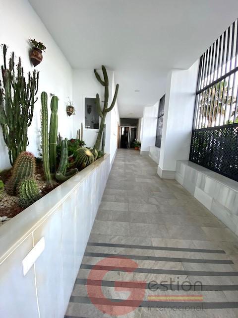 Venta de apartamento en Almuñécar Venta de apartamento en Almuñécar