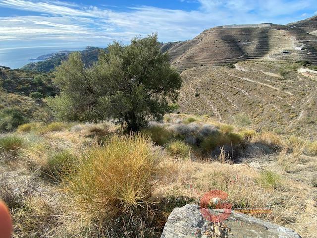Venta de terreno en Almuñécar