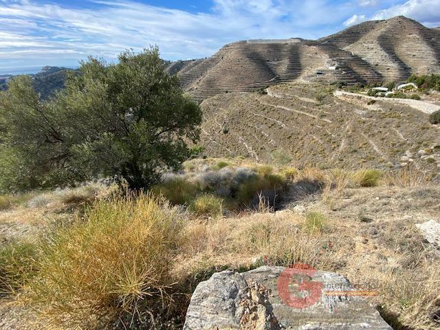 Venta de terreno en Almuñécar