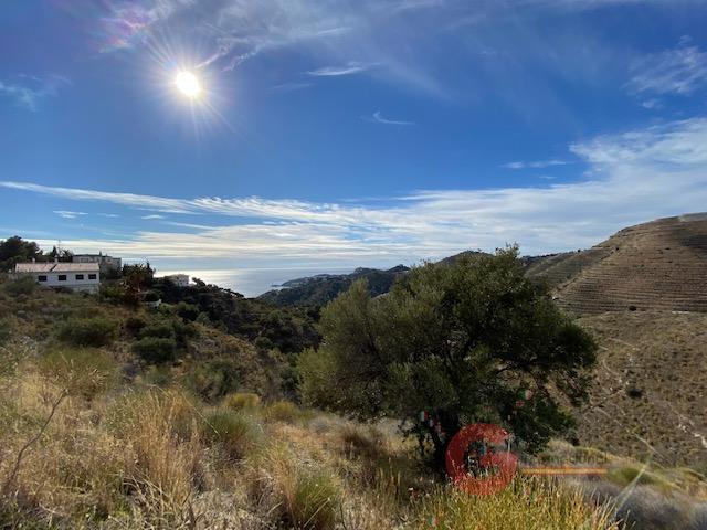 Venta de terreno en Almuñécar
