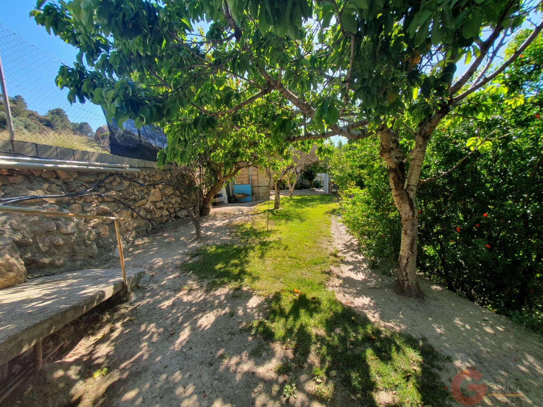 For sale of rural property in Vélez de Benaudalla