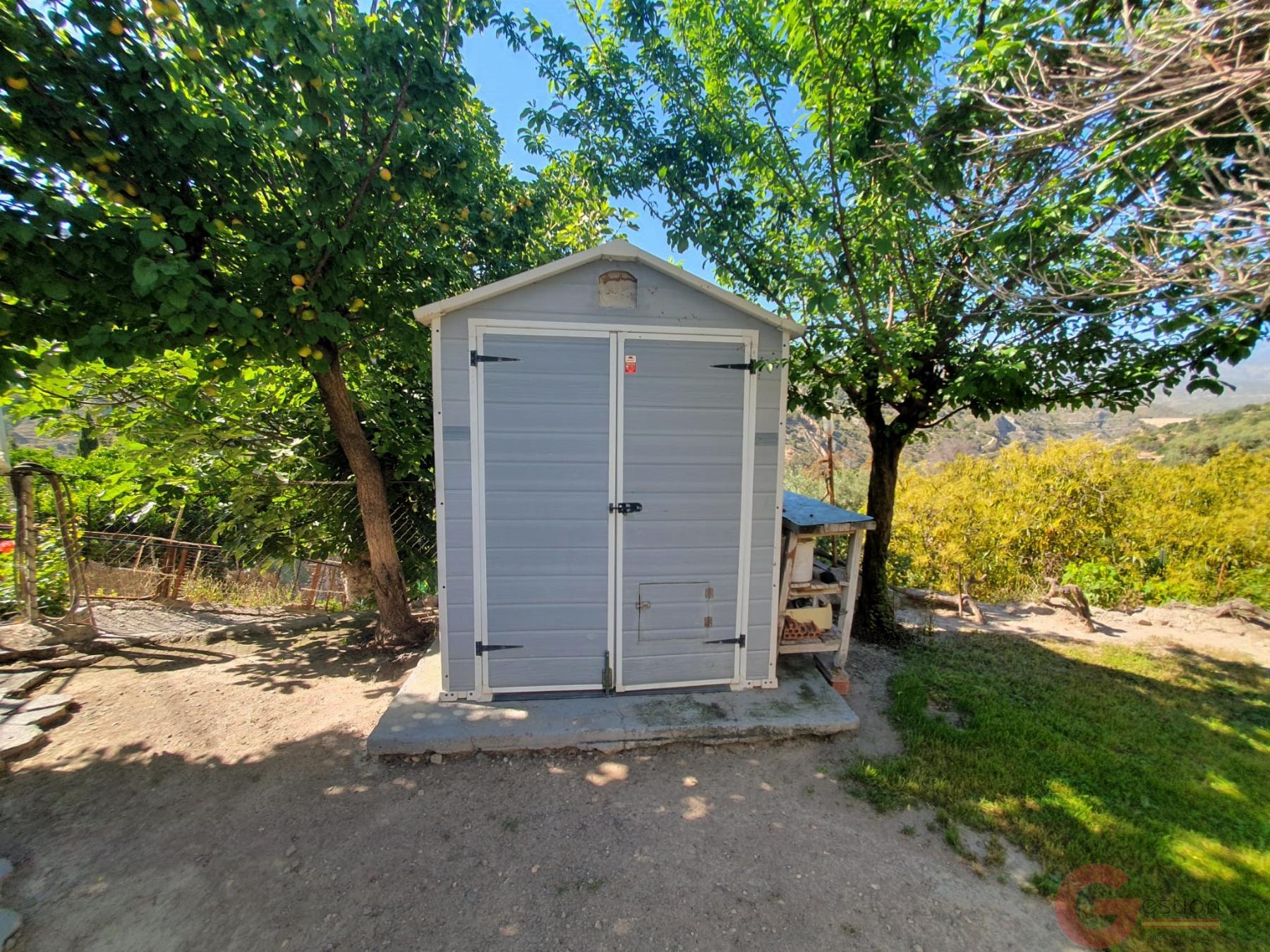 Venta de finca rústica en Vélez de Benaudalla Venta de finca rústica en Vélez de Benaudalla