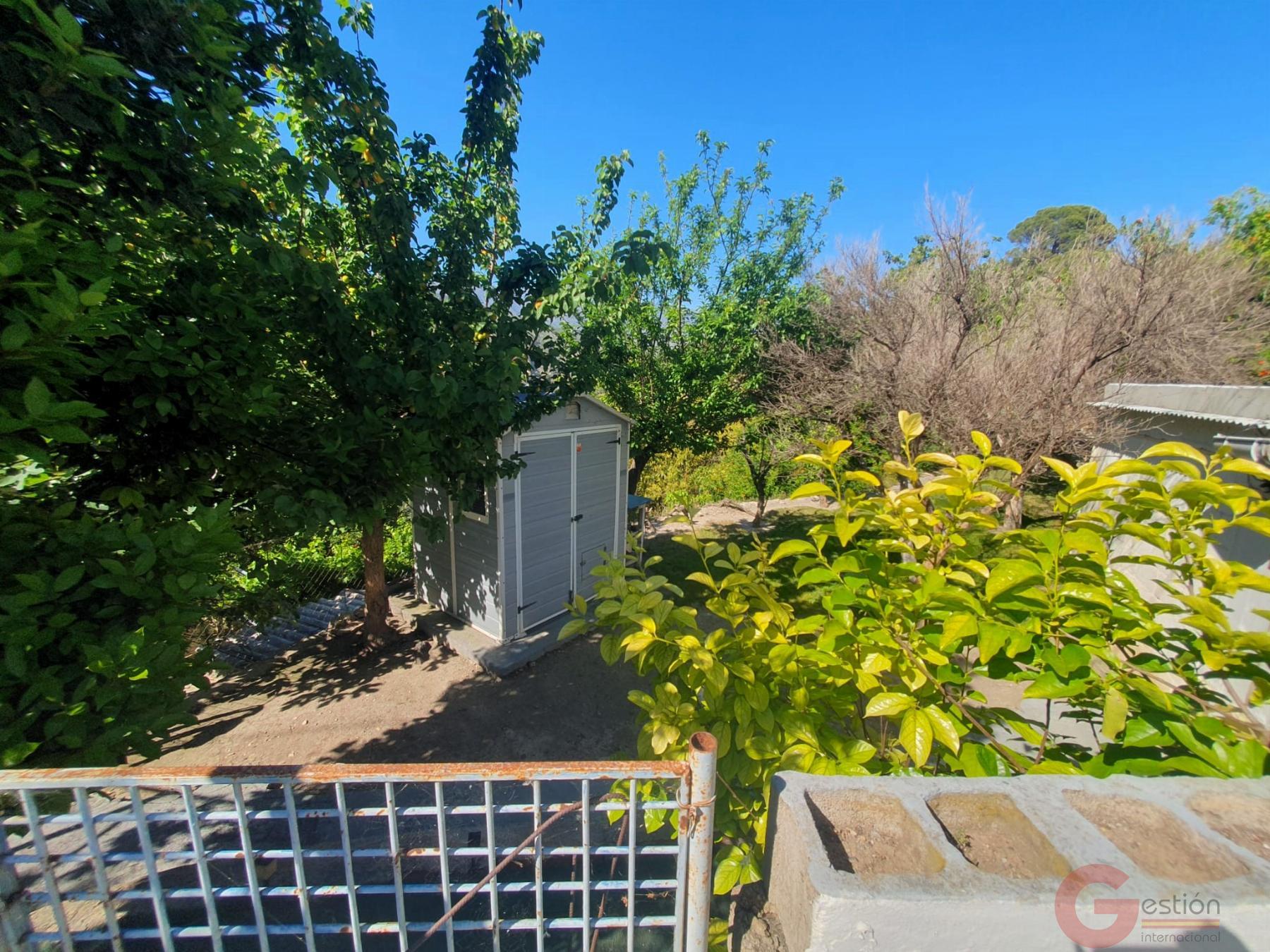For sale of rural property in Vélez de Benaudalla