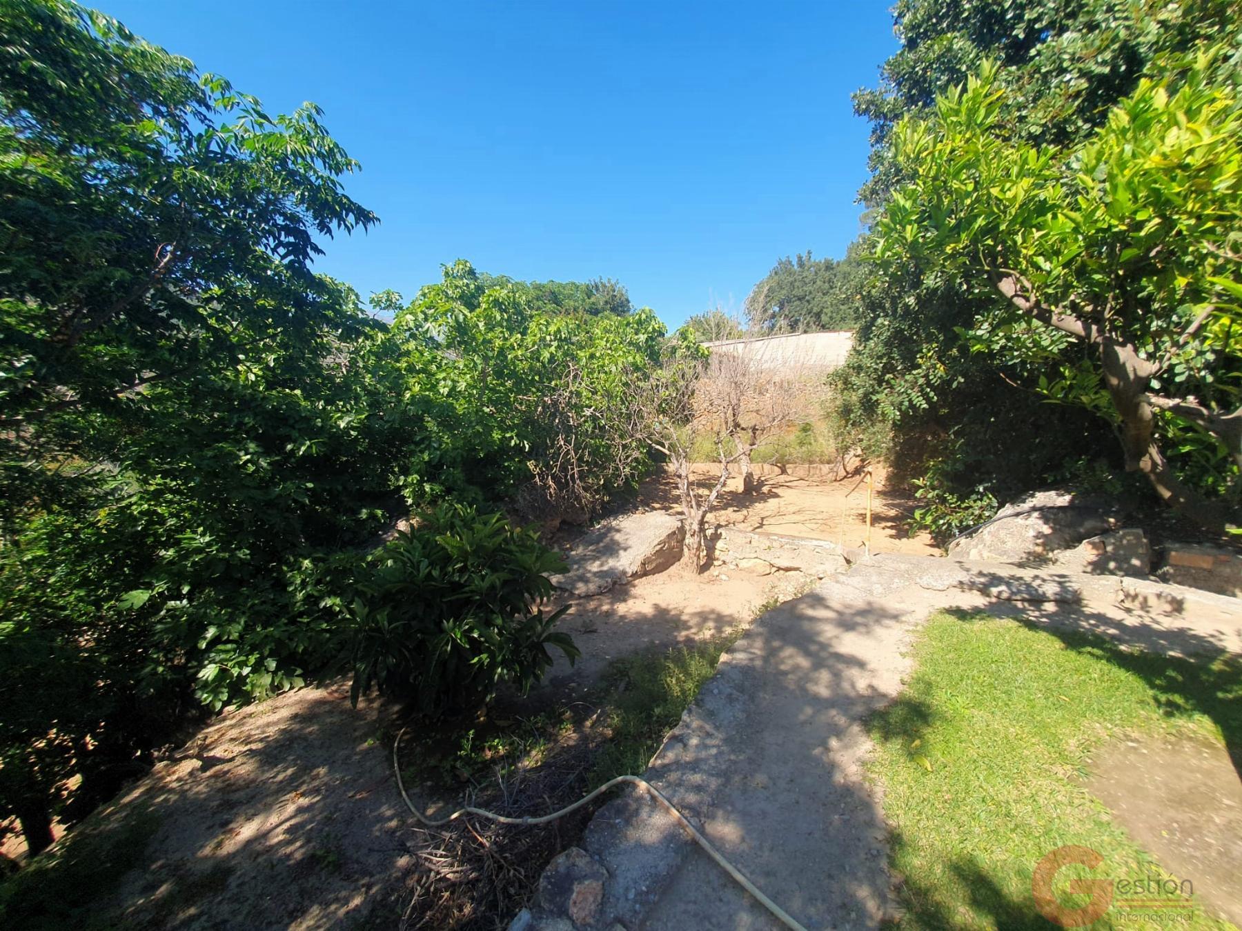 Venta de finca rústica en Vélez de Benaudalla Venta de finca rústica en Vélez de Benaudalla