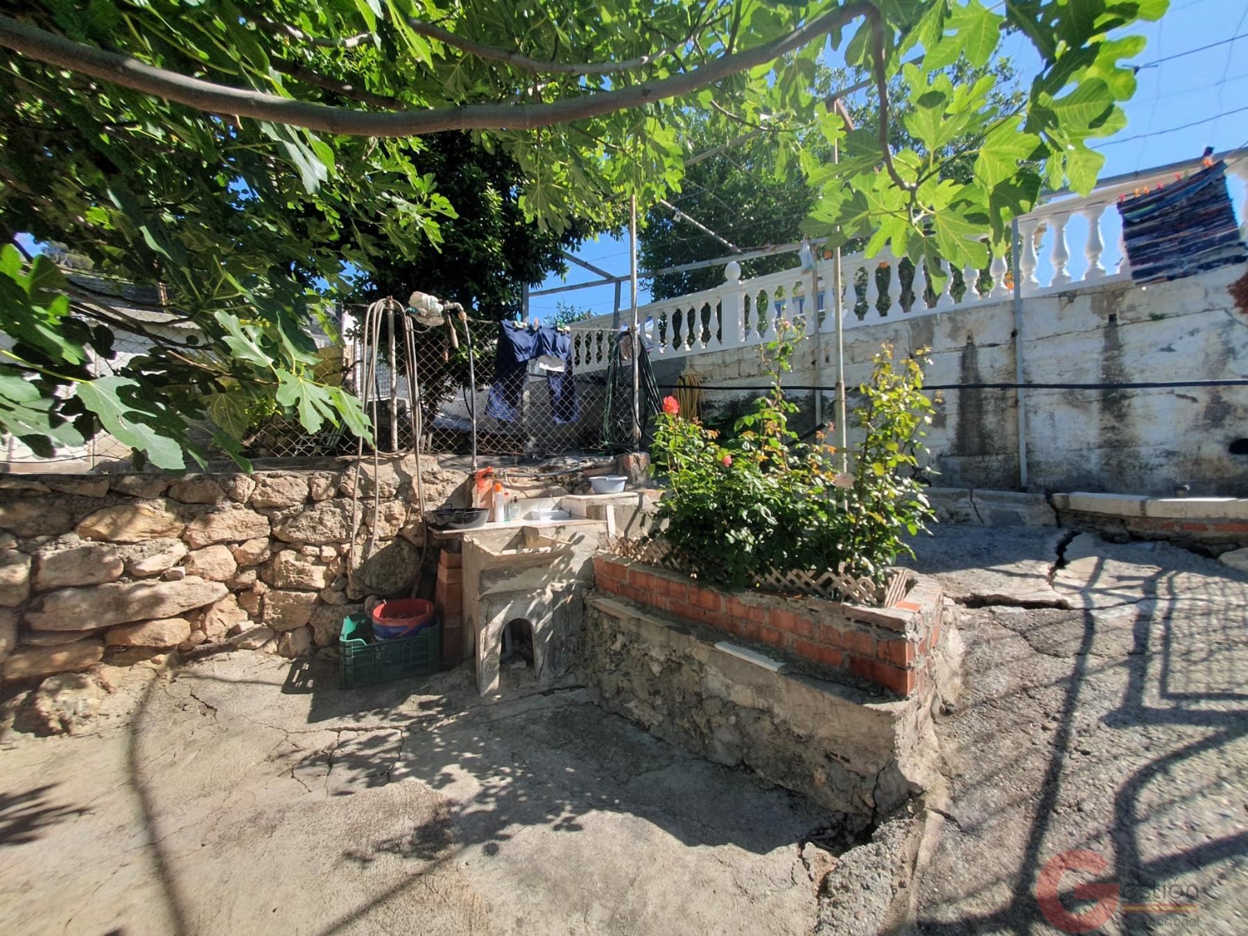 Venta de finca rústica en Vélez de Benaudalla Venta de finca rústica en Vélez de Benaudalla