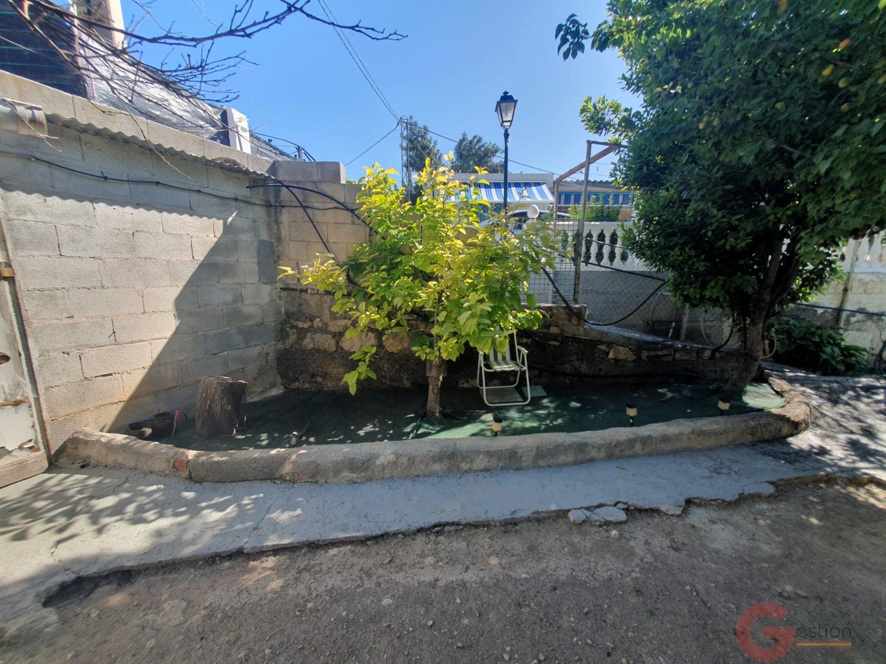 Venta de finca rústica en Vélez de Benaudalla Venta de finca rústica en Vélez de Benaudalla