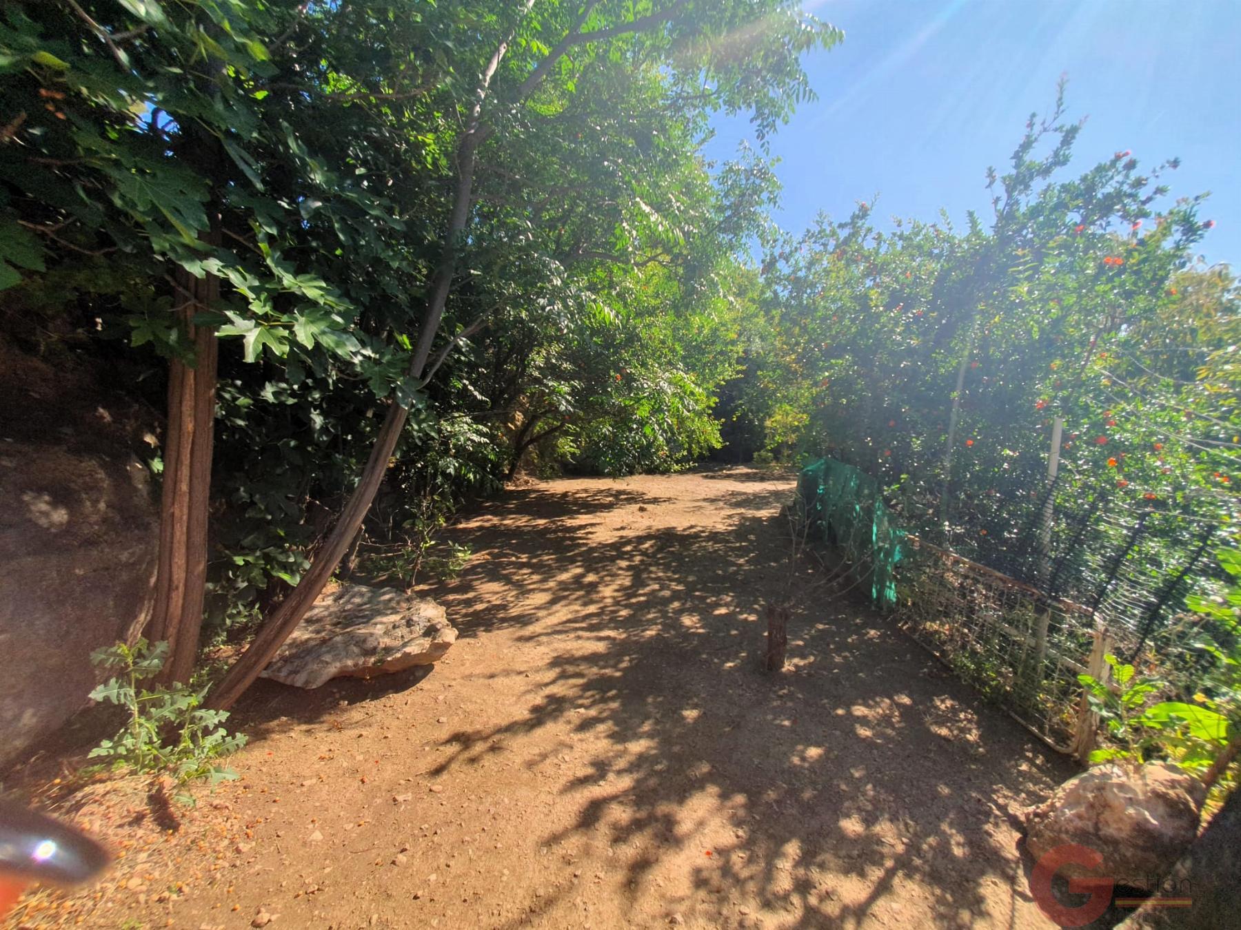 Venta de finca rústica en Vélez de Benaudalla Venta de finca rústica en Vélez de Benaudalla