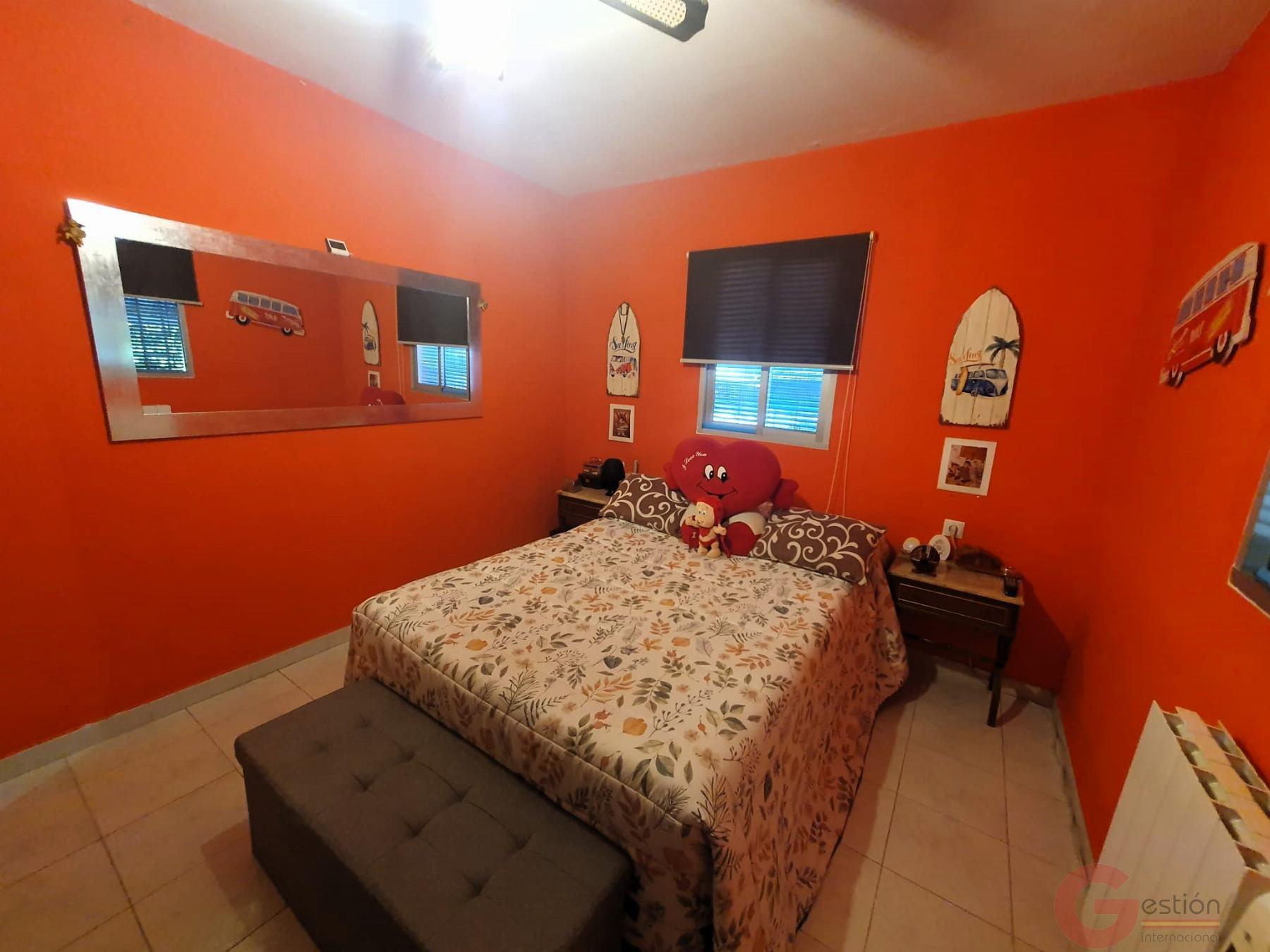 Venta de finca rústica en Vélez de Benaudalla Venta de finca rústica en Vélez de Benaudalla