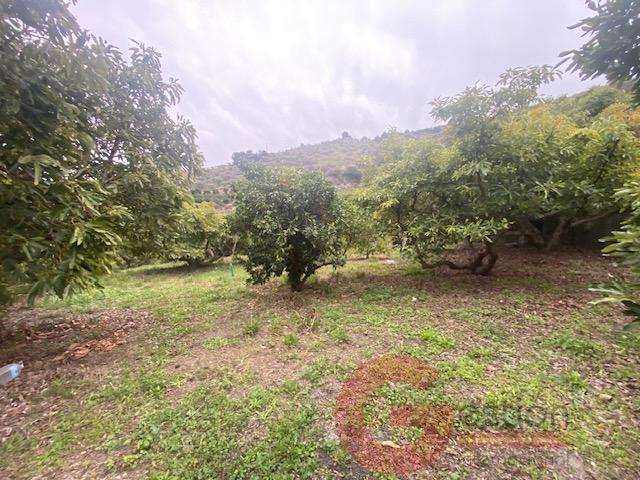 For sale of rural property in Otívar