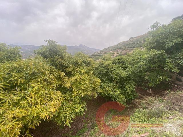 For sale of rural property in Otívar