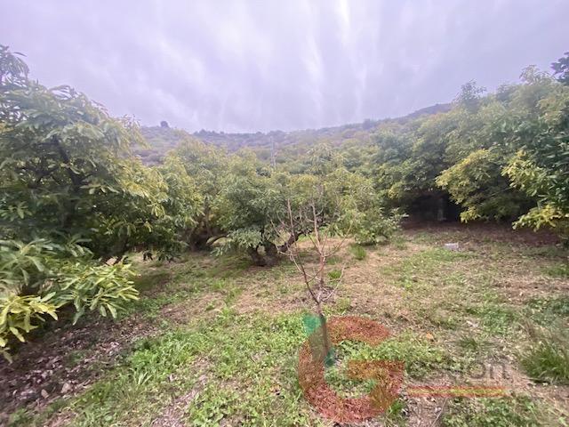 For sale of rural property in Otívar