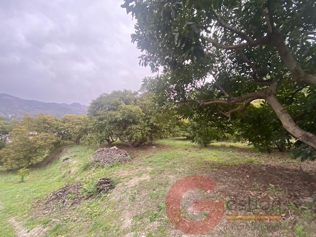 For sale of rural property in Otívar