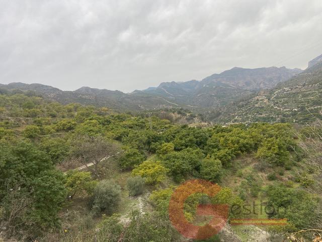 For sale of rural property in Otívar