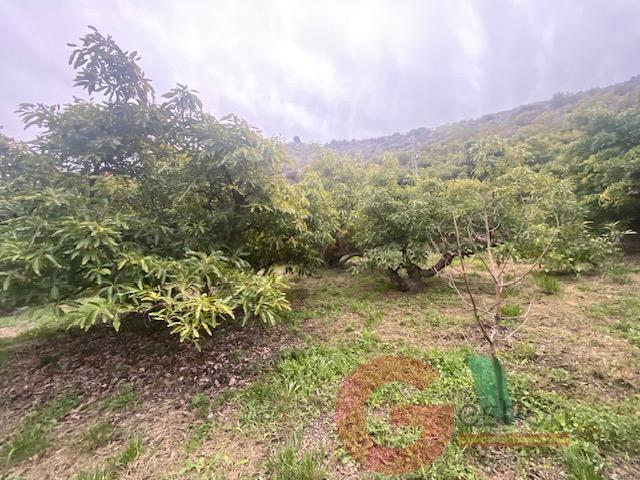 For sale of rural property in Otívar