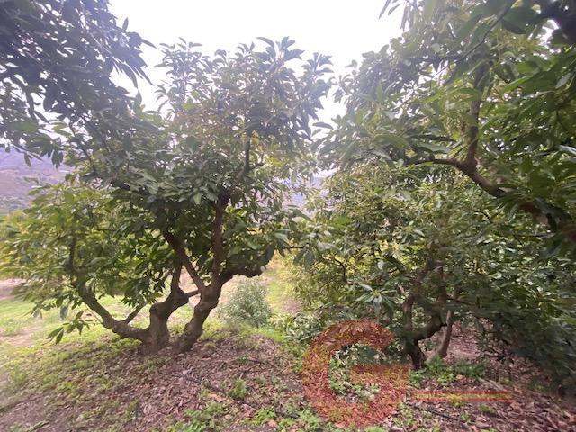 For sale of rural property in Otívar