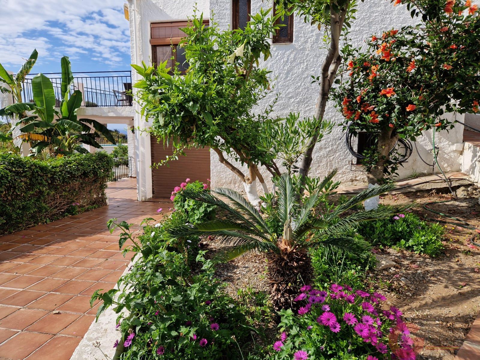 Venta de casa en Salobreña Venta de casa en Salobreña