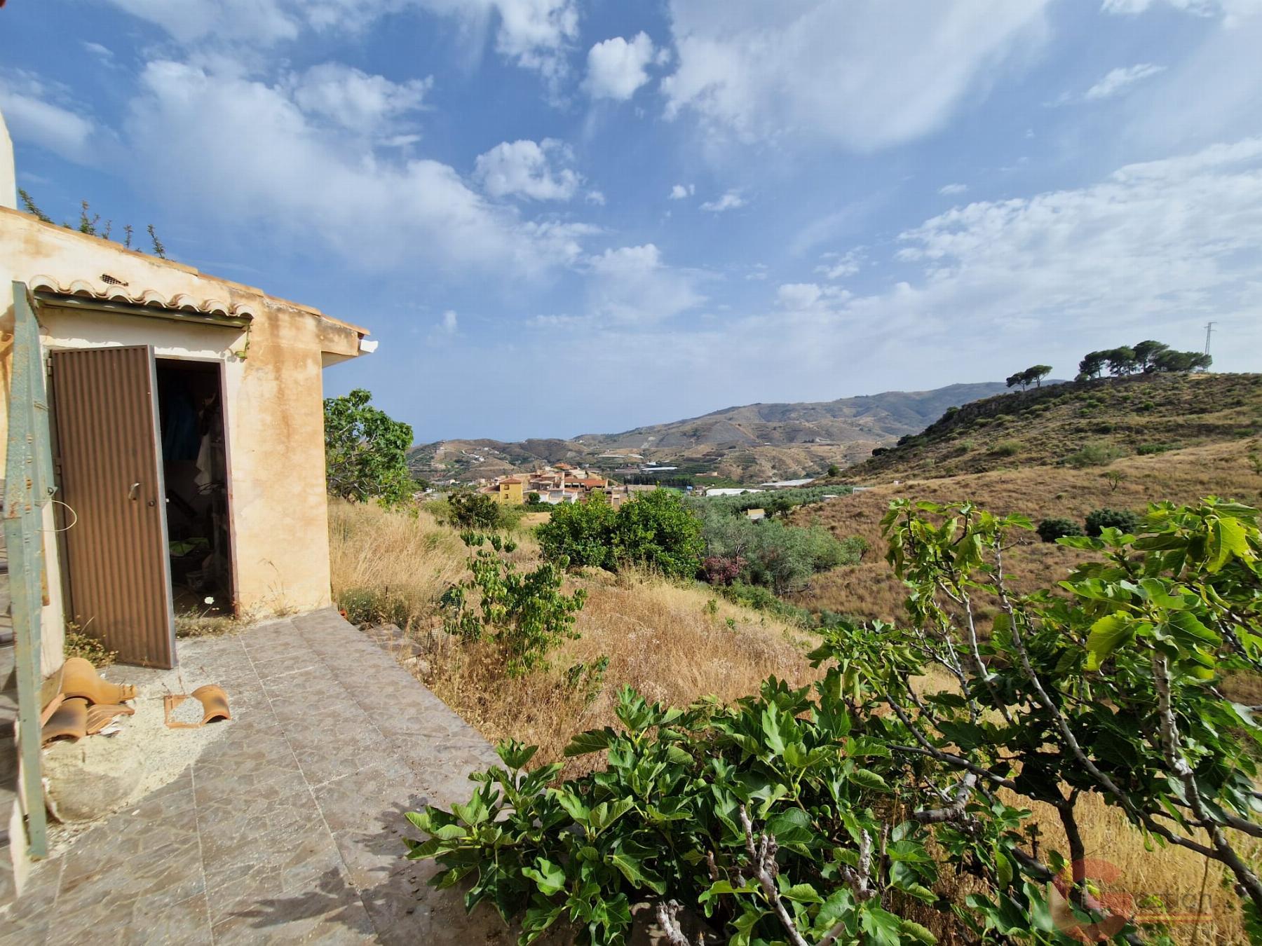 Venta de finca rústica en Molvízar Venta de finca rústica en Molvízar