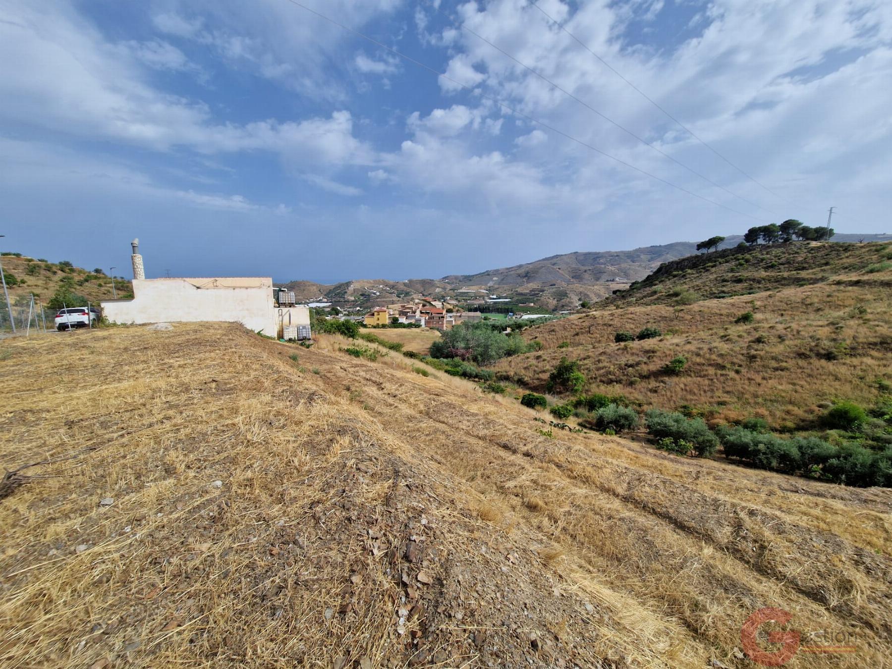 Venta de finca rústica en Molvízar Venta de finca rústica en Molvízar