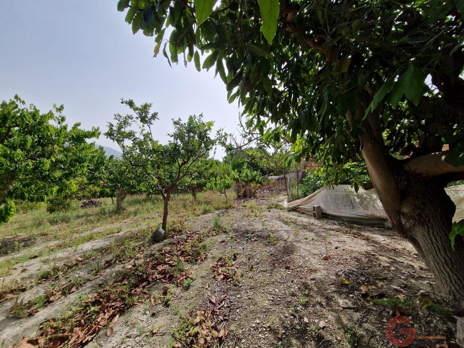 Venta de finca rústica en Lobres Venta de finca rústica en Lobres