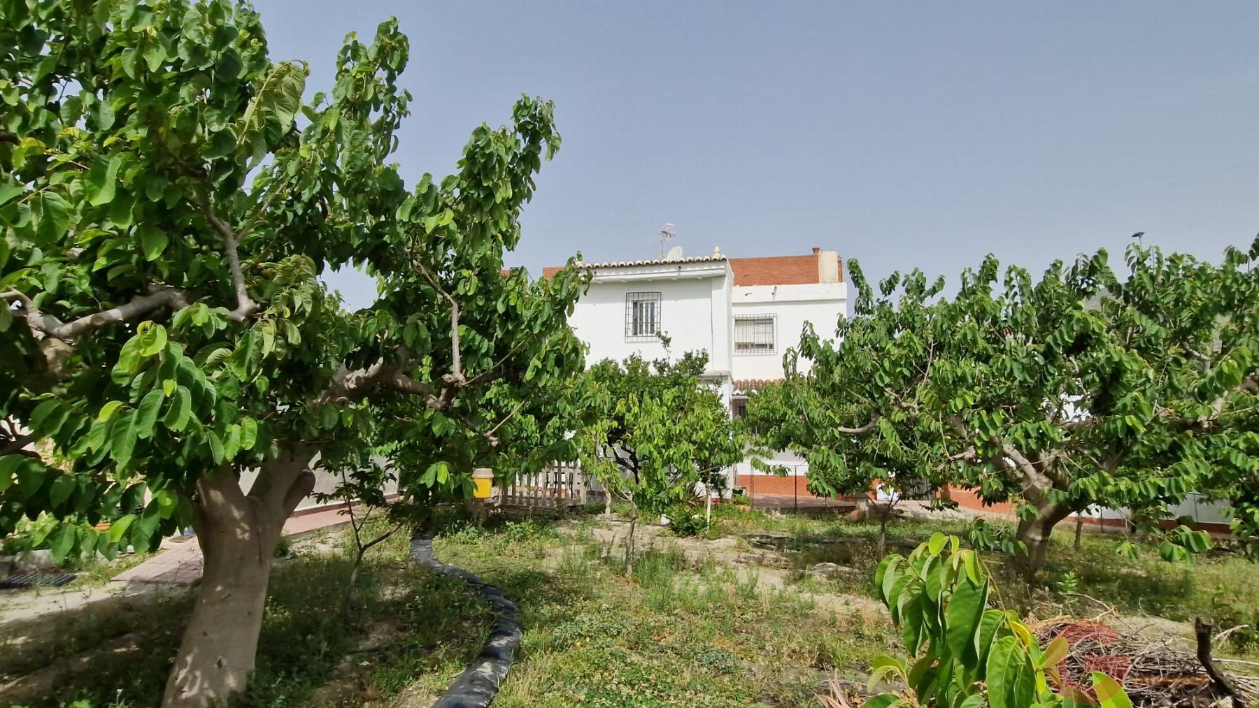 Venta de finca rústica en Lobres Venta de finca rústica en Lobres