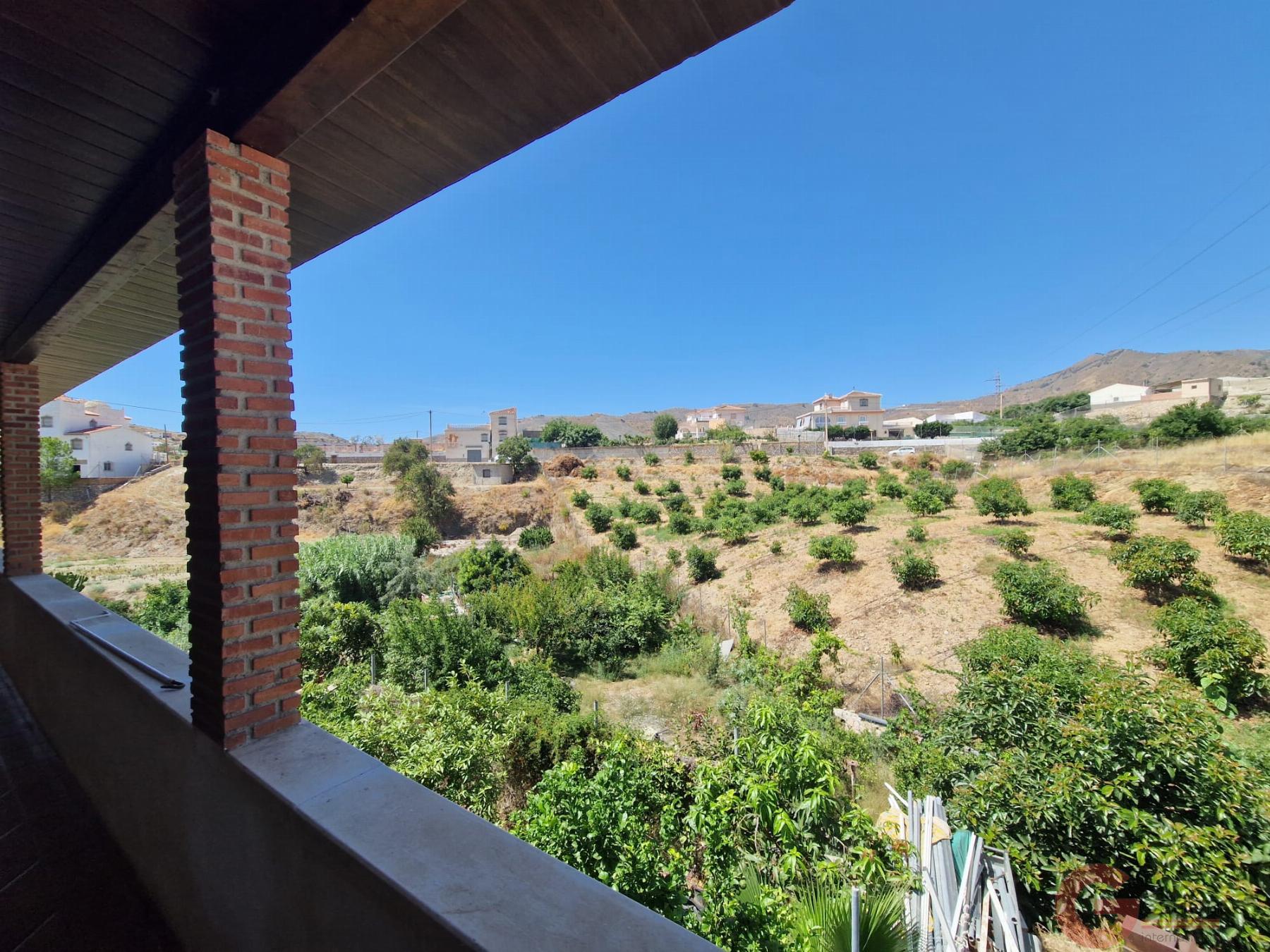 Venta de finca rústica en Molvízar Venta de finca rústica en Molvízar