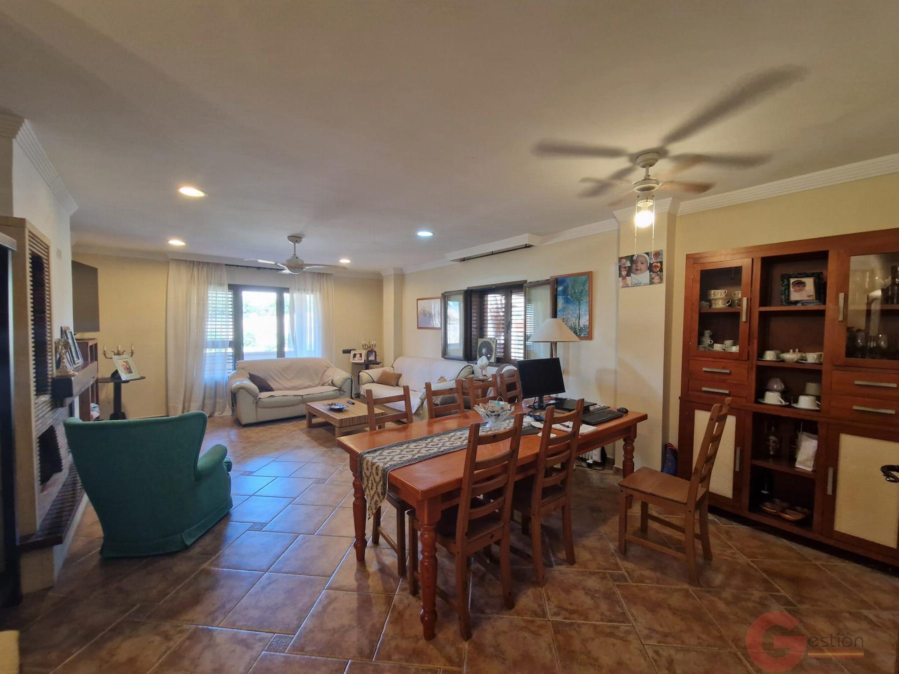 Venta de finca rústica en Molvízar Venta de finca rústica en Molvízar