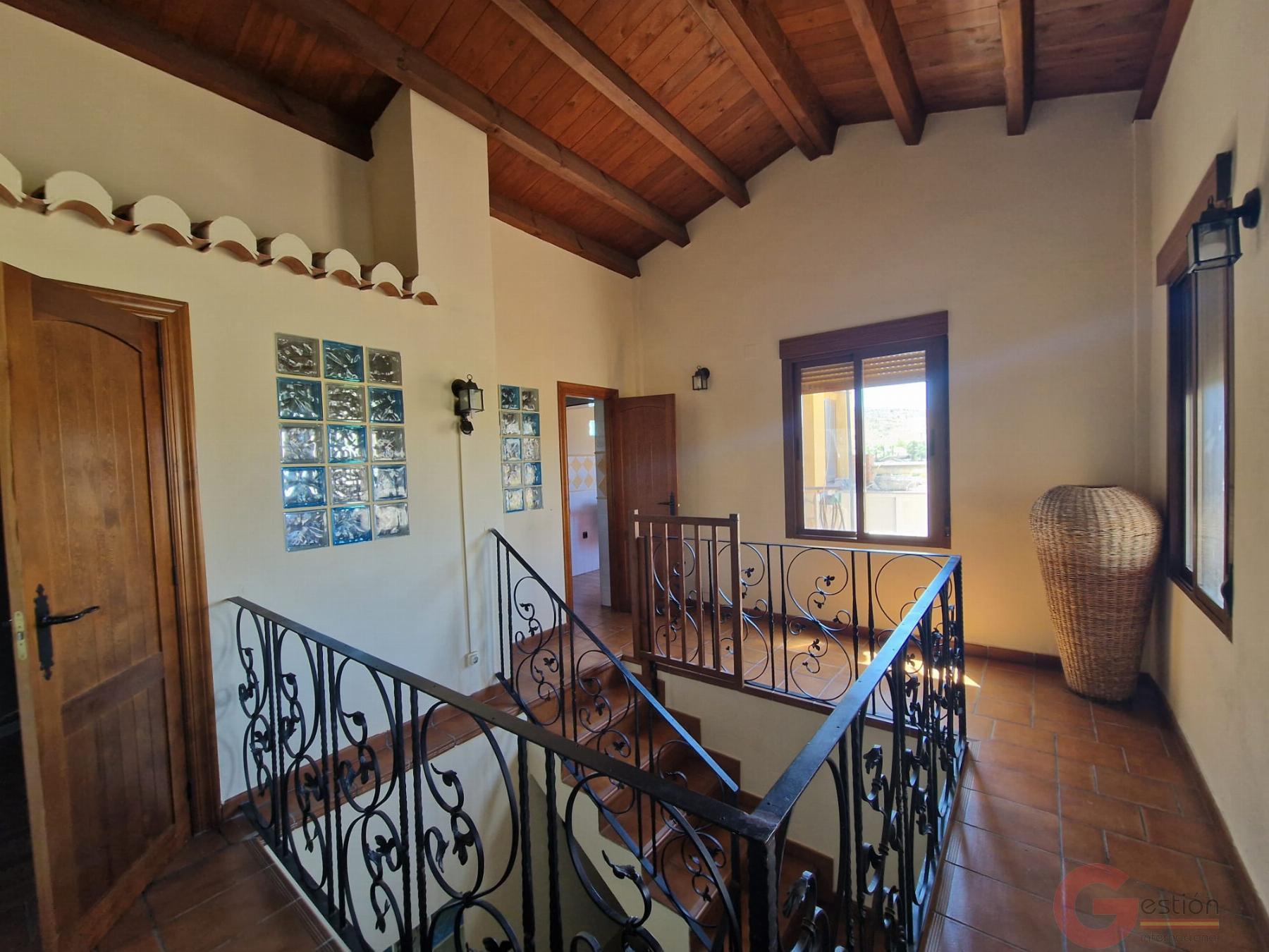 Venta de finca rústica en Molvízar Venta de finca rústica en Molvízar