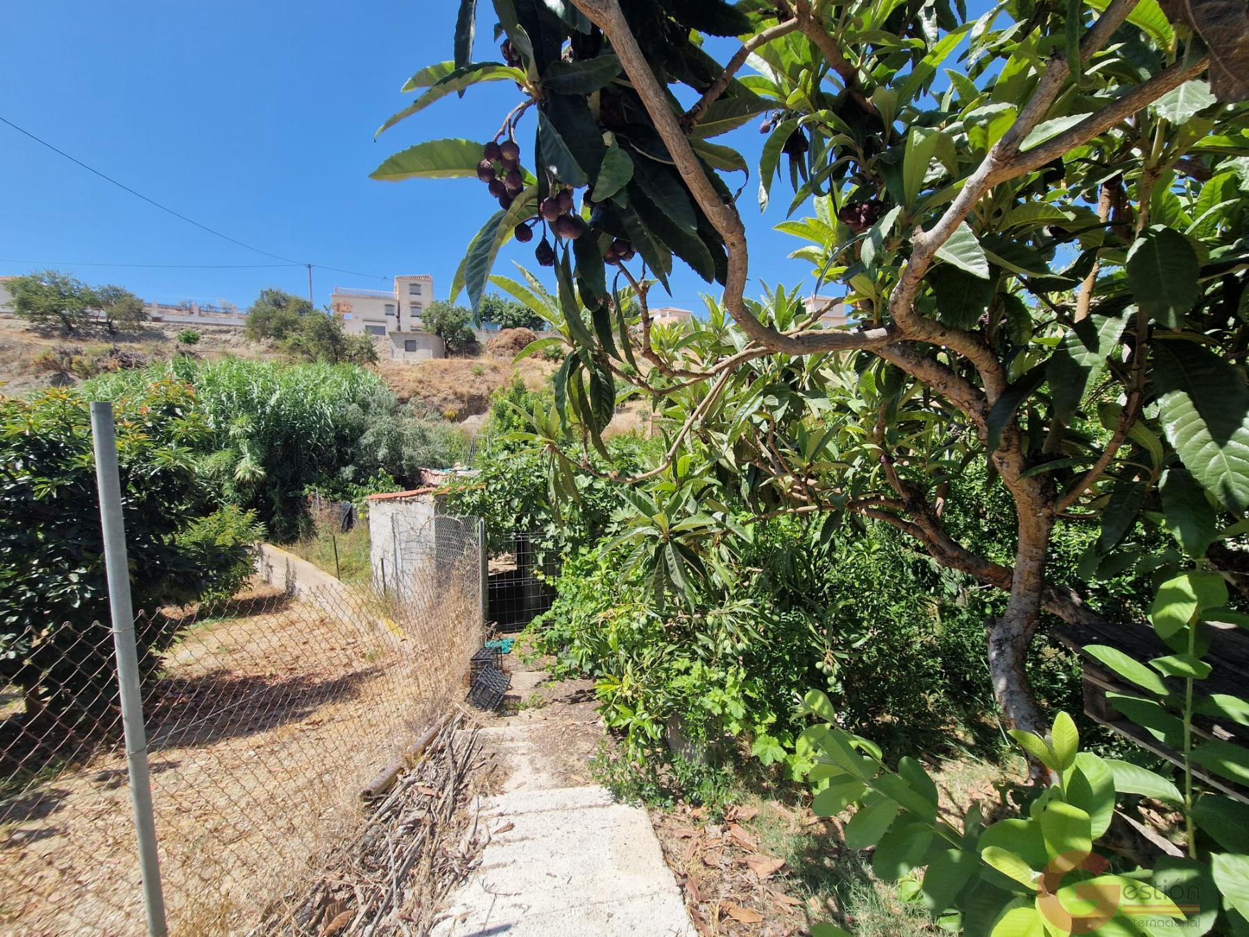 Venta de finca rústica en Molvízar Venta de finca rústica en Molvízar