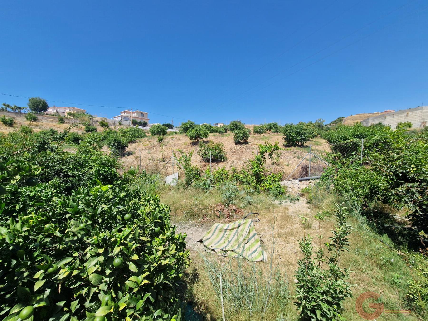 Venta de finca rústica en Molvízar Venta de finca rústica en Molvízar