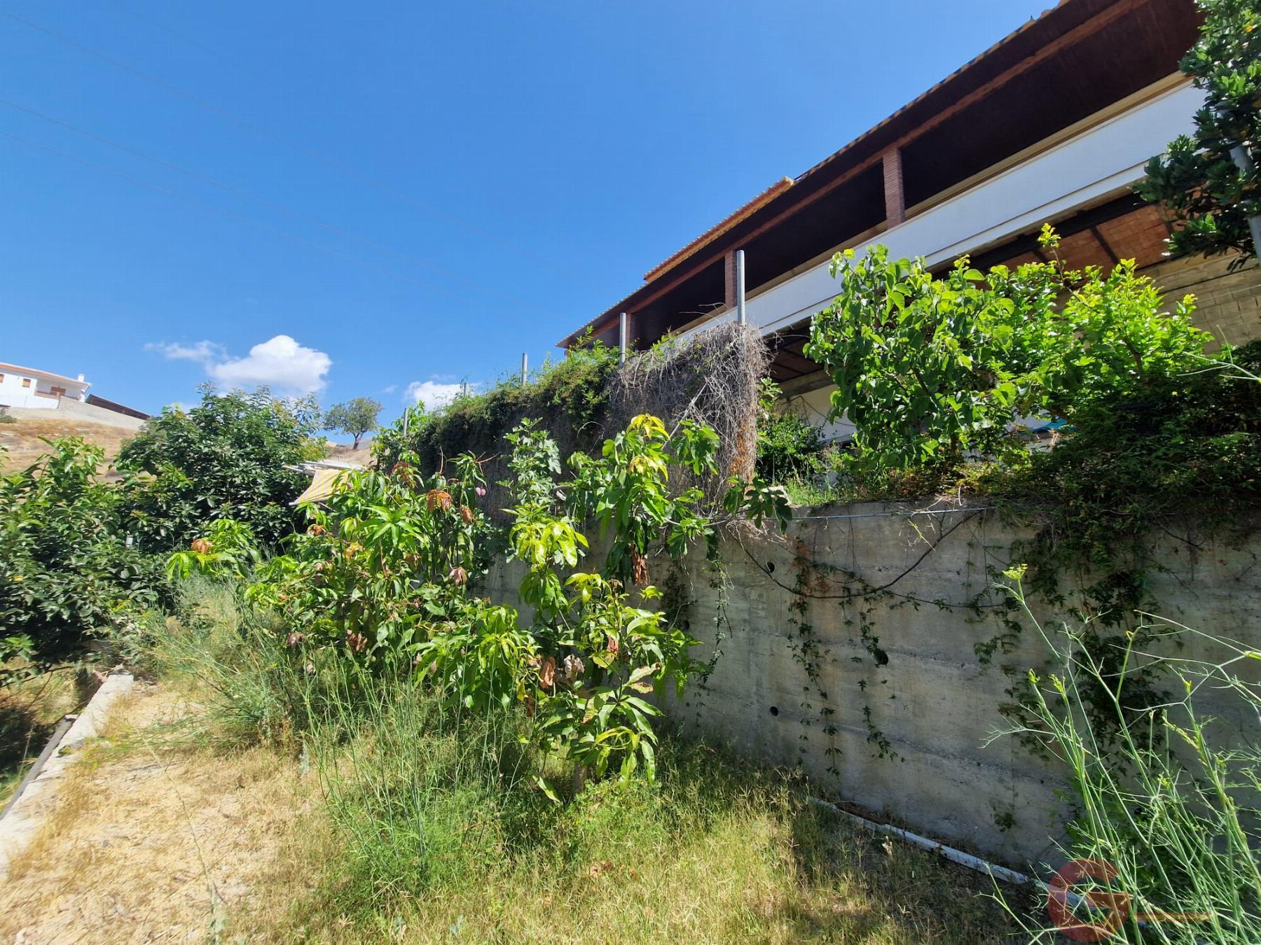 Venta de finca rústica en Molvízar Venta de finca rústica en Molvízar