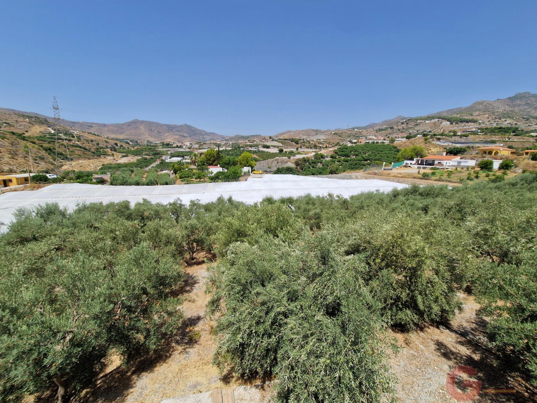 Venta de finca rústica en Molvízar Venta de finca rústica en Molvízar