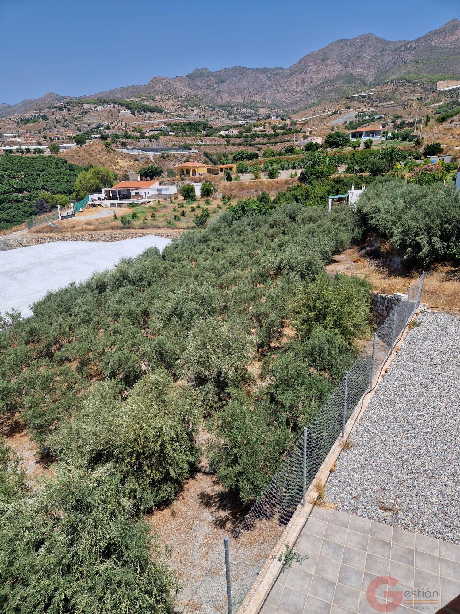 Venta de finca rústica en Molvízar Venta de finca rústica en Molvízar