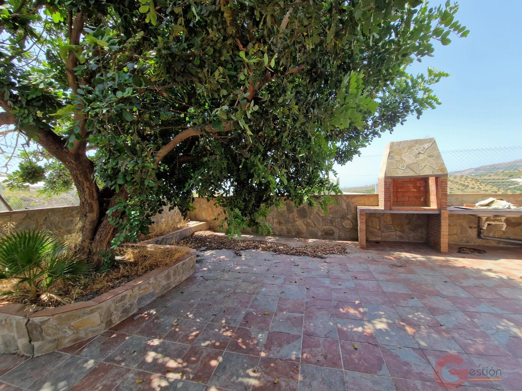 Venta de finca rústica en Molvízar Venta de finca rústica en Molvízar