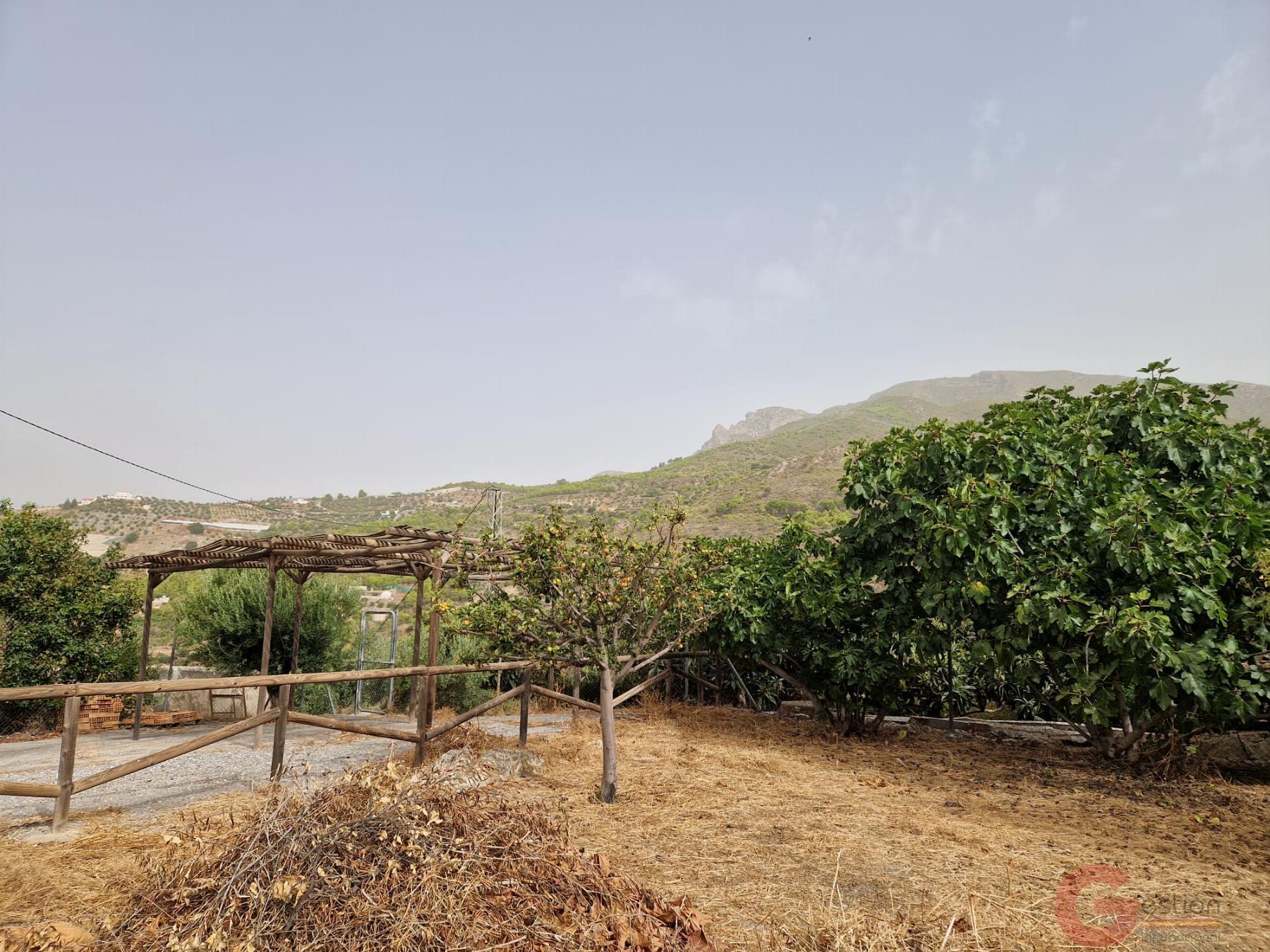 Venta de finca rústica en Itrabo Venta de finca rústica en Itrabo