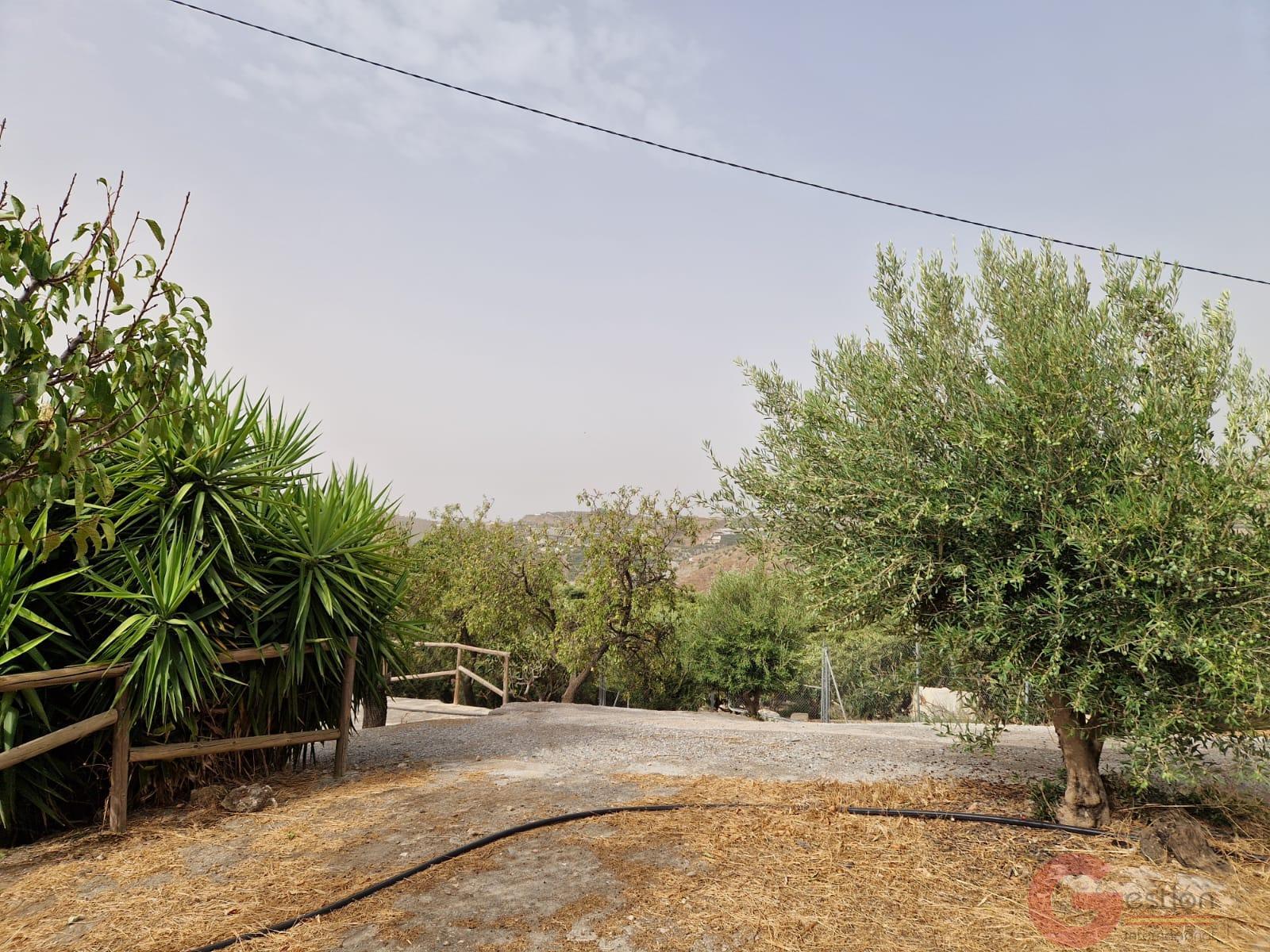 Venta de finca rústica en Itrabo Venta de finca rústica en Itrabo