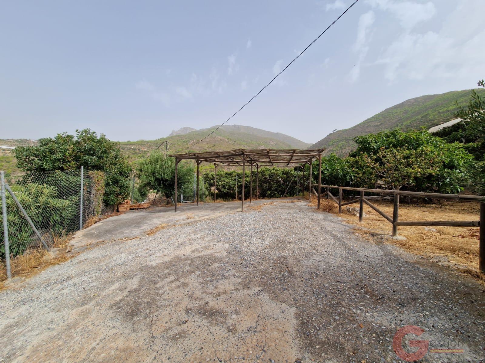 Venta de finca rústica en Itrabo Venta de finca rústica en Itrabo