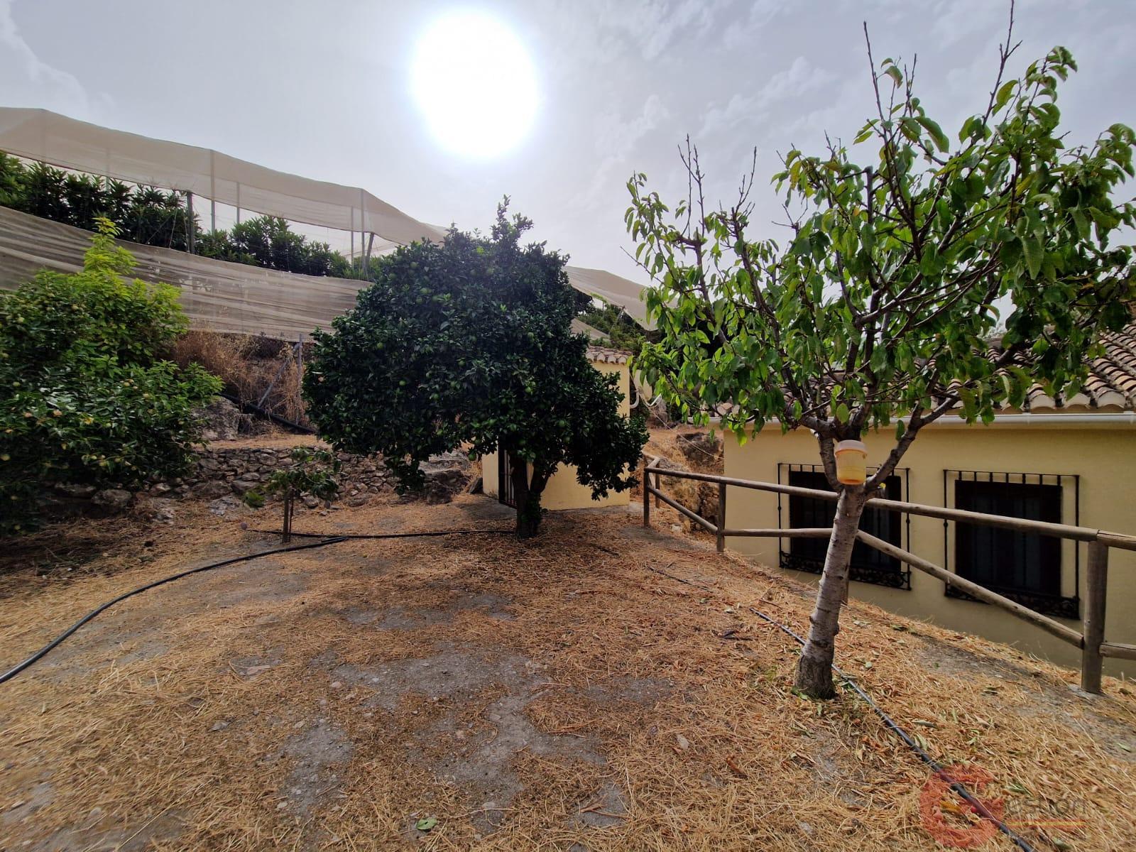 Venta de finca rústica en Itrabo Venta de finca rústica en Itrabo