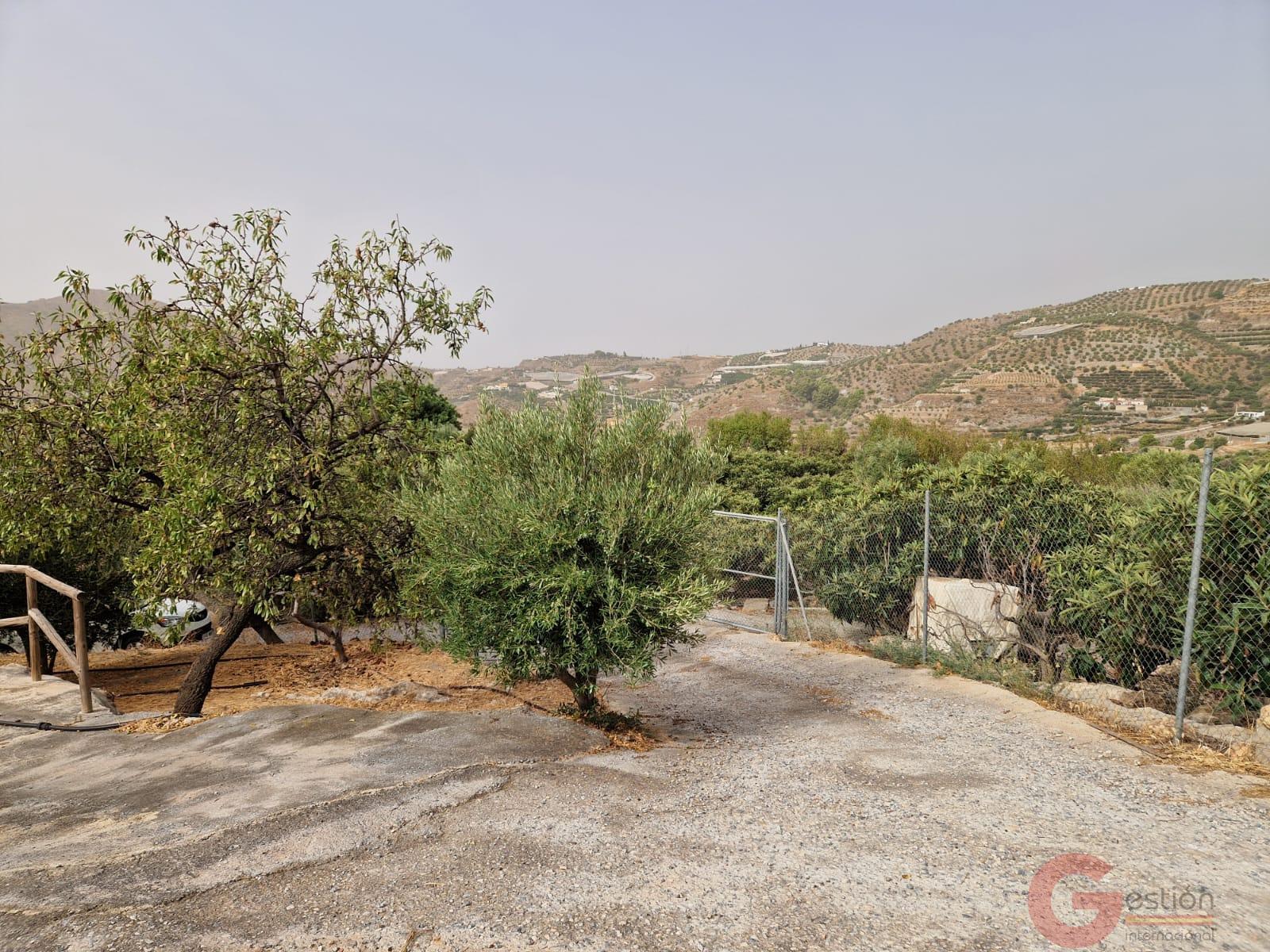 Venta de finca rústica en Itrabo Venta de finca rústica en Itrabo