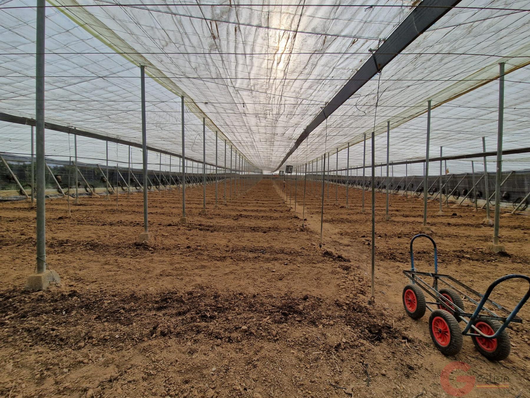 Venta de finca rústica en Molvízar Venta de finca rústica en Molvízar