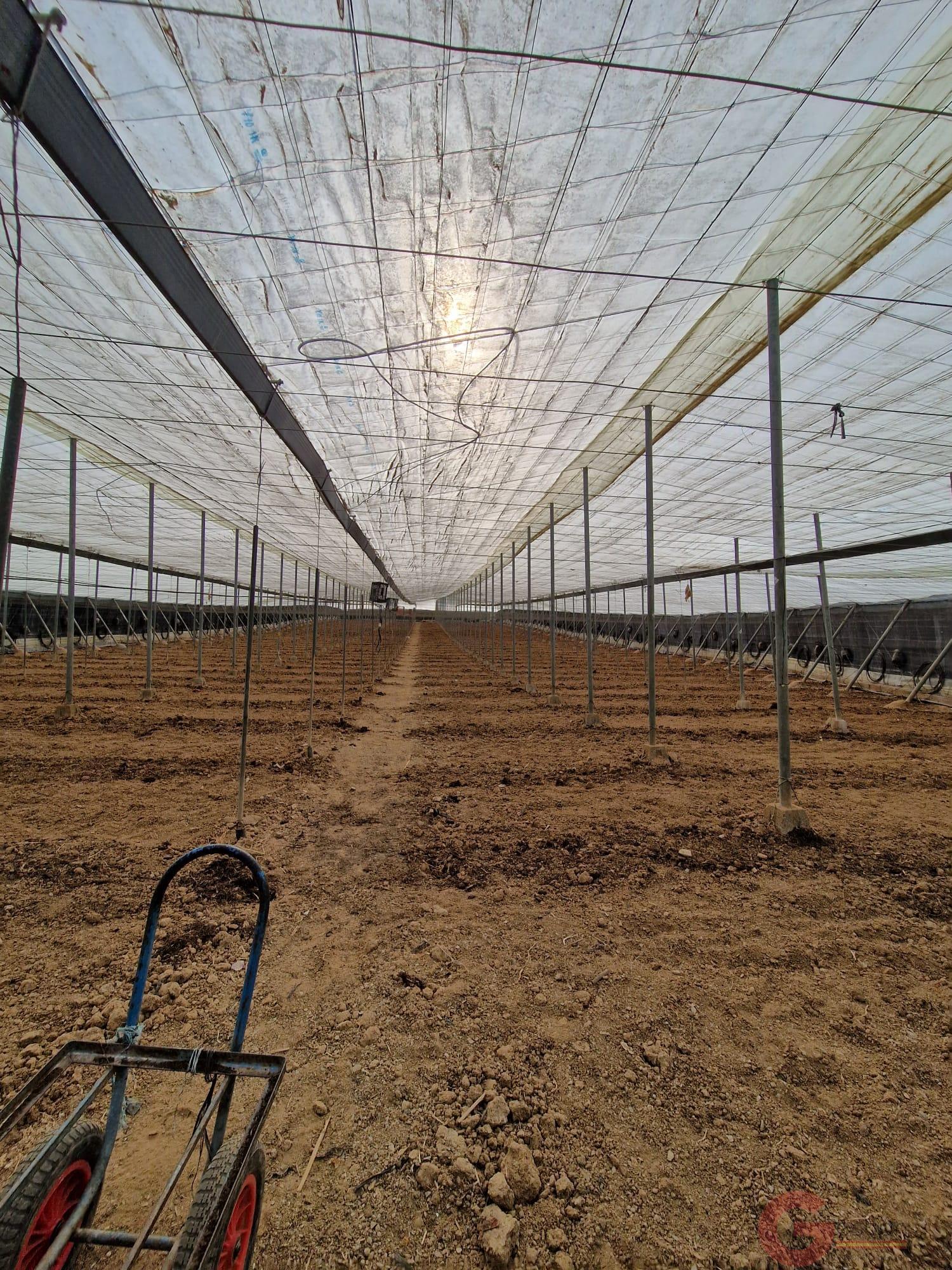 Venta de finca rústica en Molvízar Venta de finca rústica en Molvízar