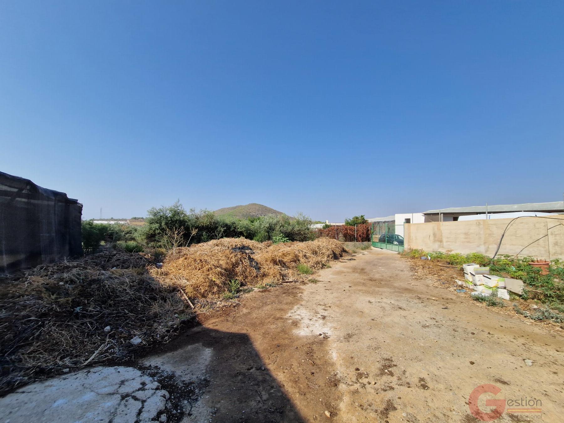 Venta de finca rústica en Molvízar Venta de finca rústica en Molvízar