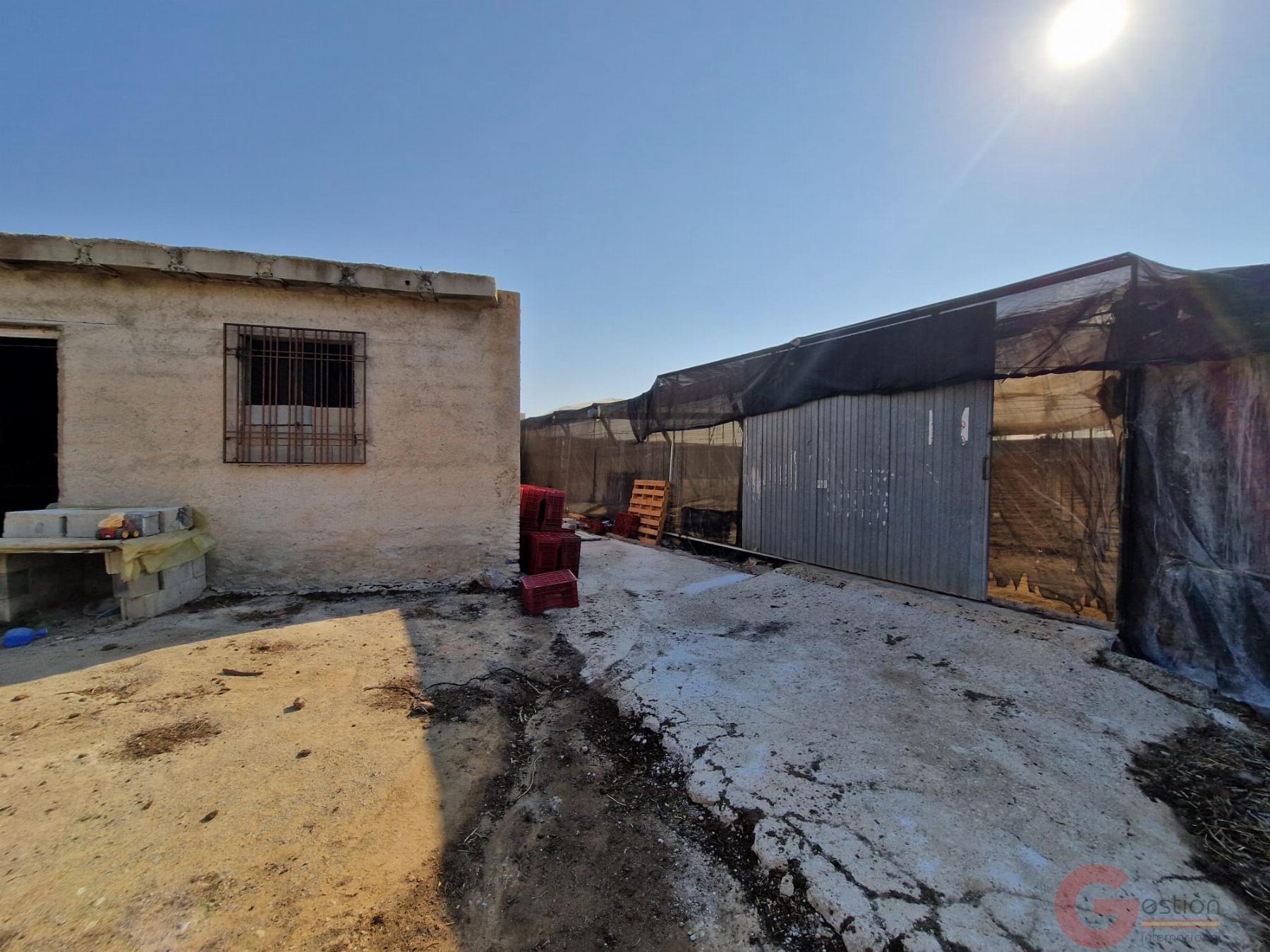 Venta de finca rústica en Molvízar Venta de finca rústica en Molvízar